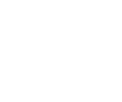 Avisum logo